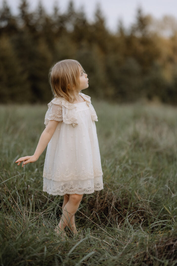 Ivory Embroidered Tulle Dress