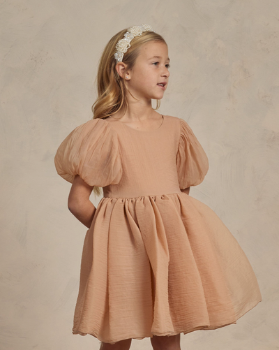 Noralee Blush Organza Dress