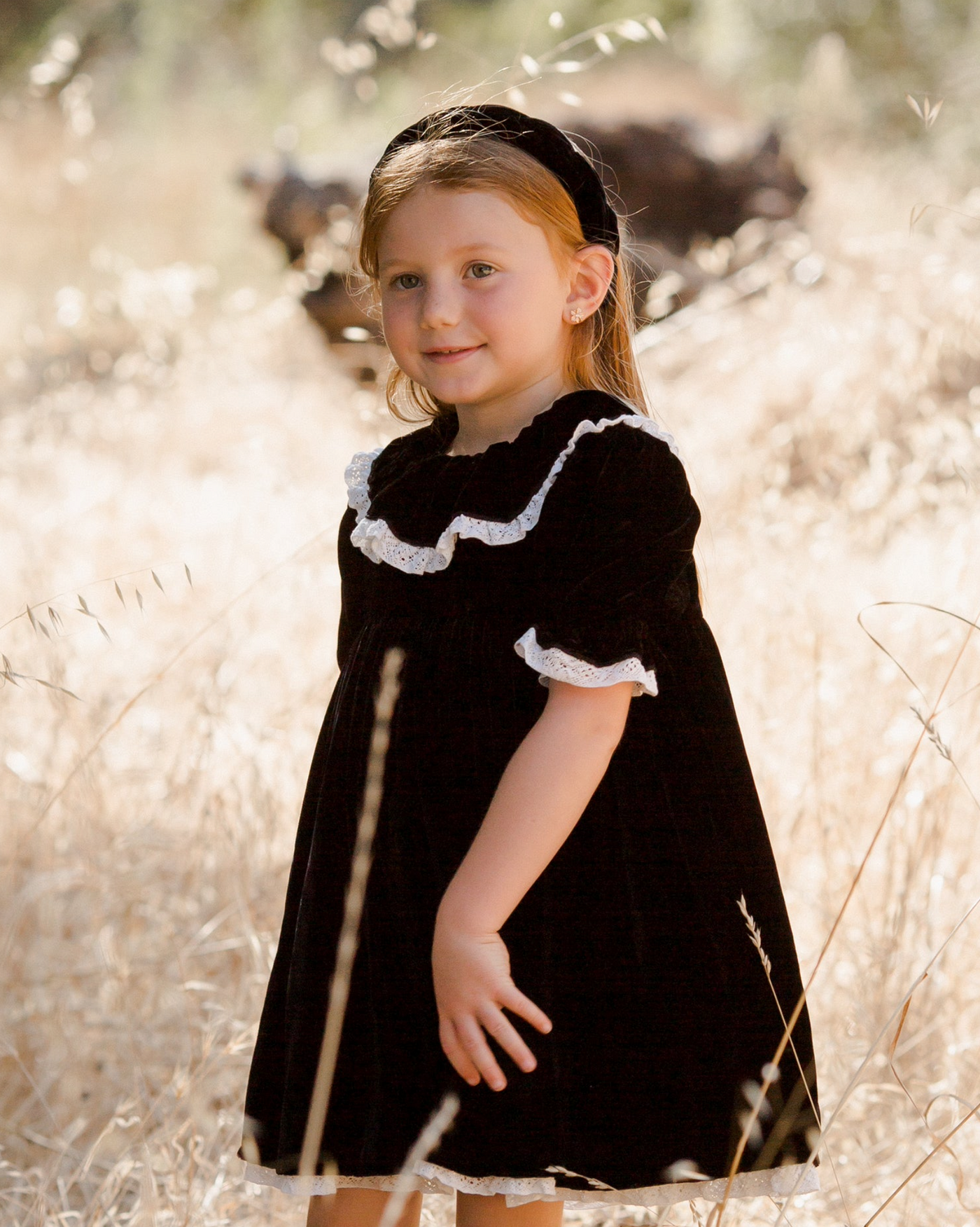 Velvet Black Dress with a Lace Trim