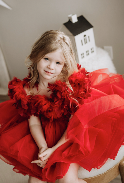 Royal Ruby Elegance: The Princess Red Dress
