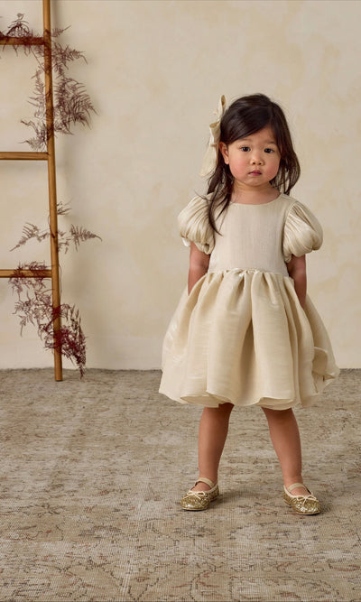 Noralee Sofia Dress in Ecru color
