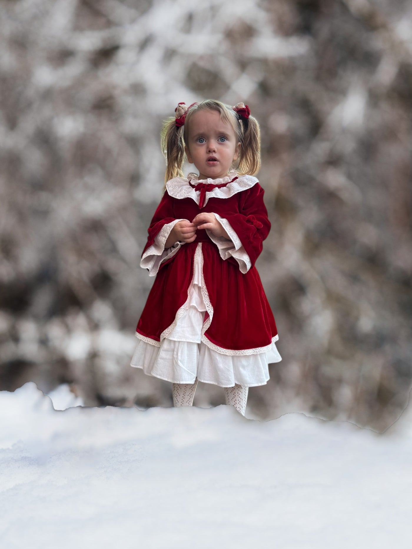Scarlet Velvet Holiday Dress