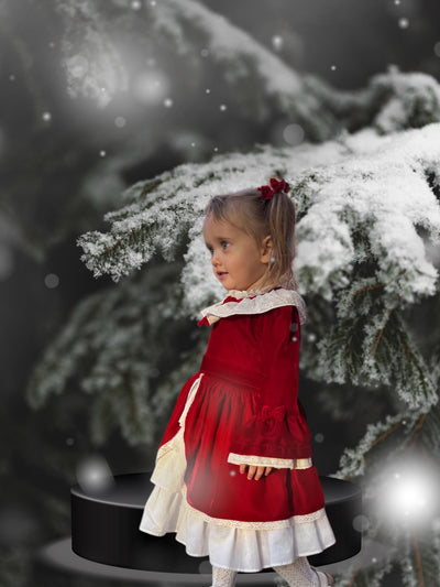 Scarlet Velvet Holiday Dress