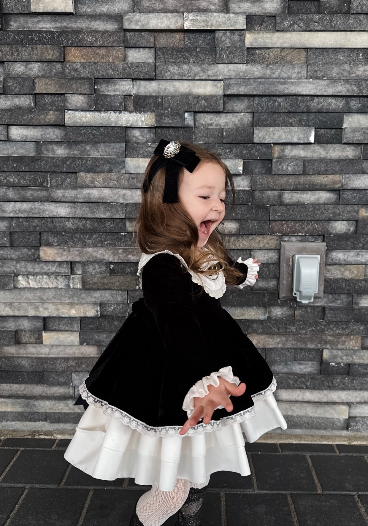 Regal Velvet Embroidered Dress