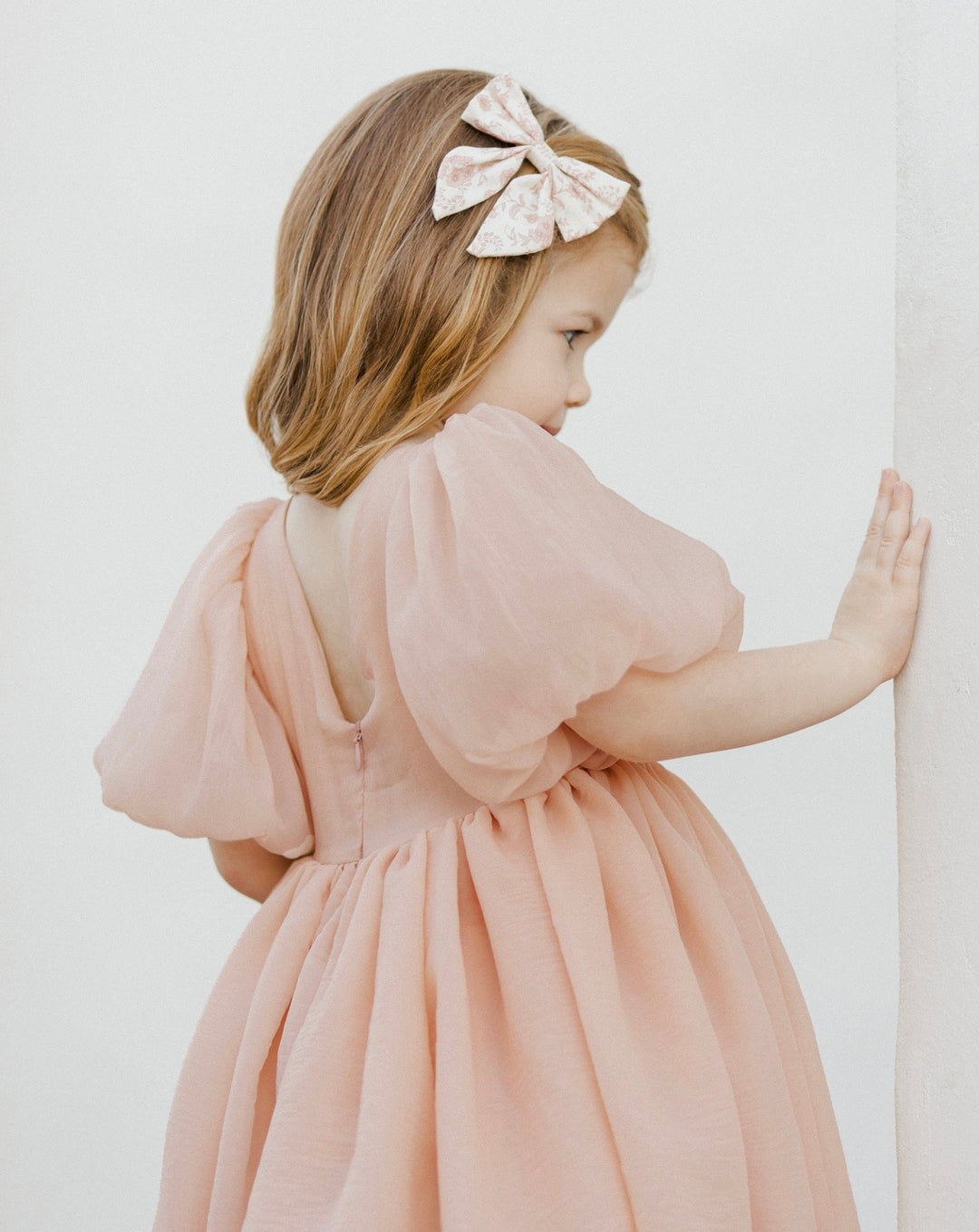 ノラリー　Noralee SOFIA DRESS BLUSH Noralee Blush Sofia Dress – Ladida